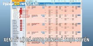 Hướng Dẫn Xem Tỷ Lệ Cá Cược Bóng Đá Trực Tuyến Chuẩn Chỉnh